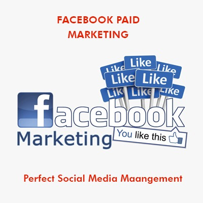 Facebook Paid Marketing in Nagercoil , Facebook Paid Marketing in kanyakumari , Facebook Paid Marketing in TamilNadu , tamilnila.in